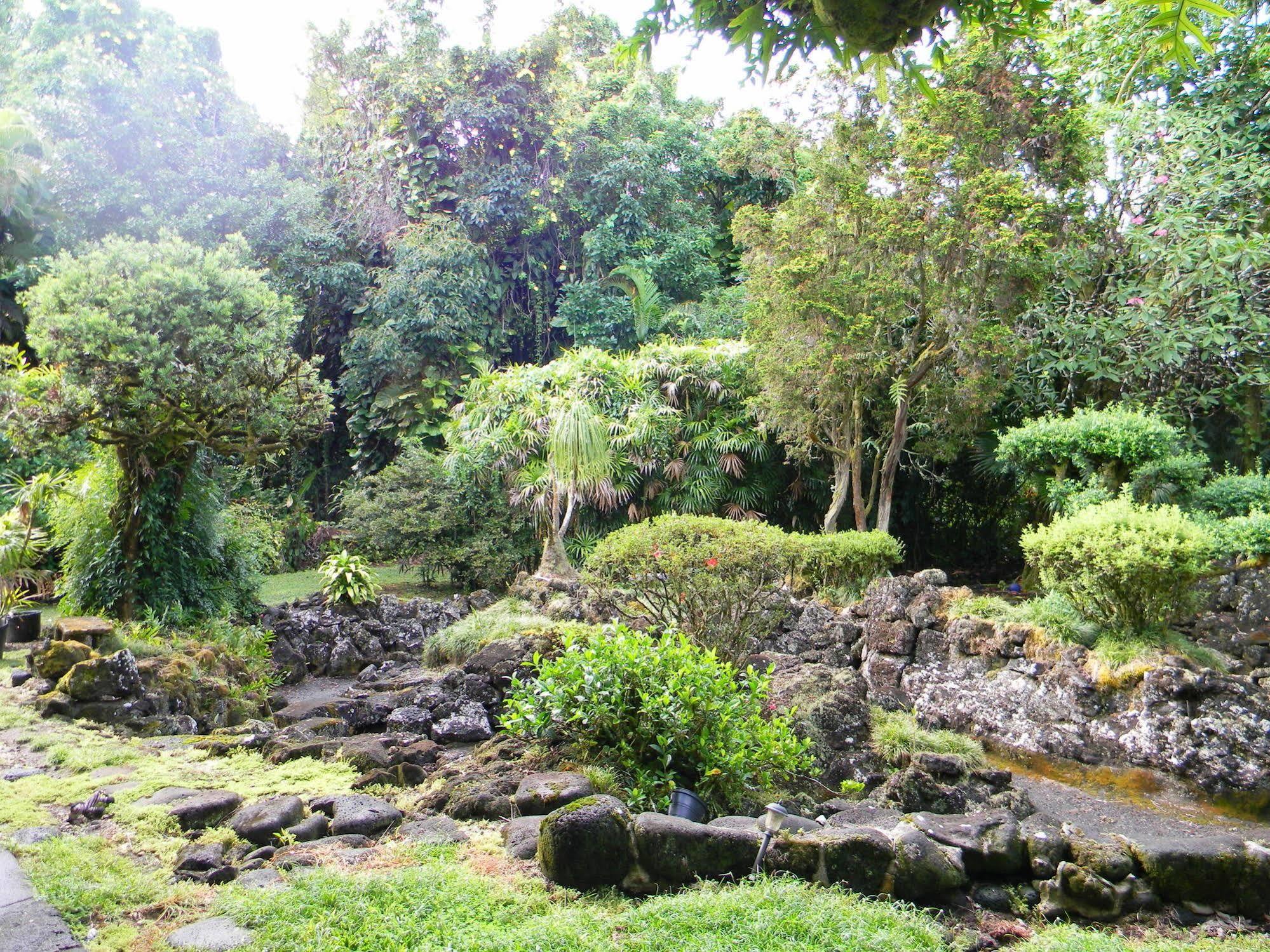 Maureen'S Bed And Breakfast Hilo Exterior foto