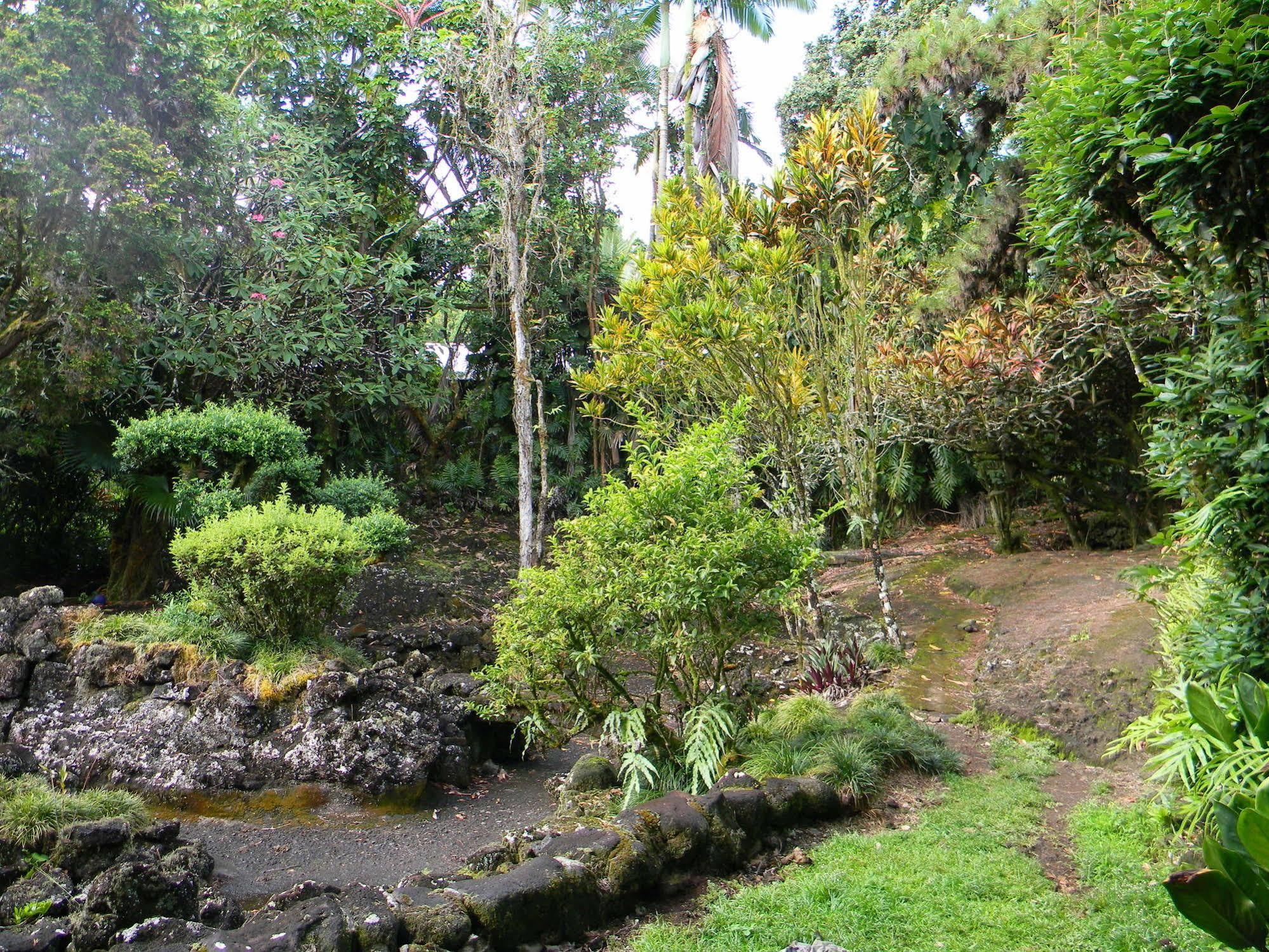 Maureen'S Bed And Breakfast Hilo Exterior foto