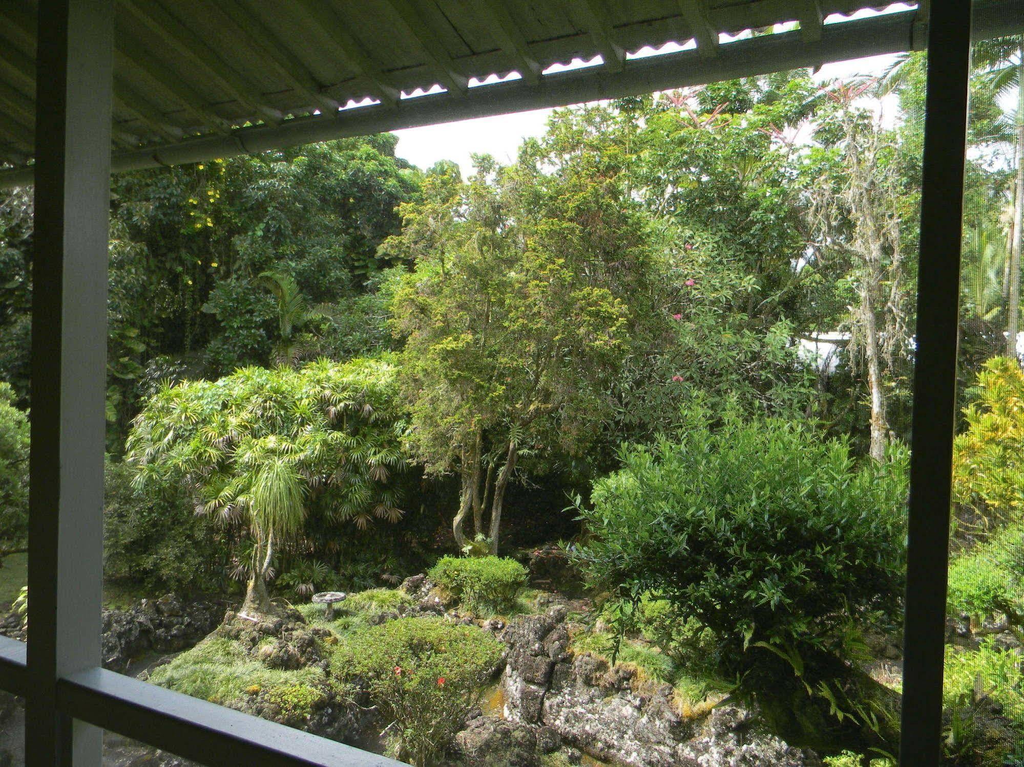 Maureen'S Bed And Breakfast Hilo Exterior foto