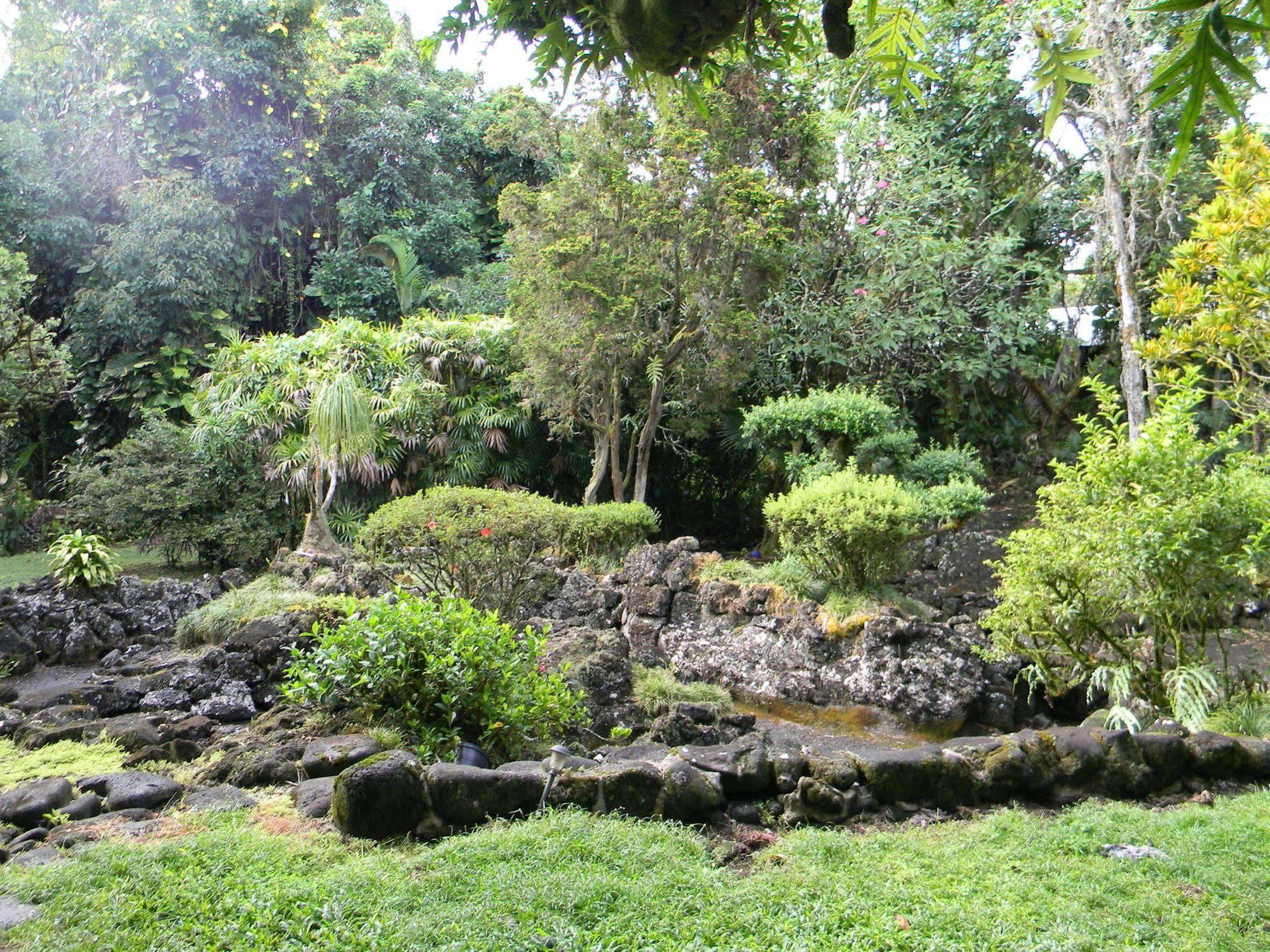 Maureen'S Bed And Breakfast Hilo Exterior foto